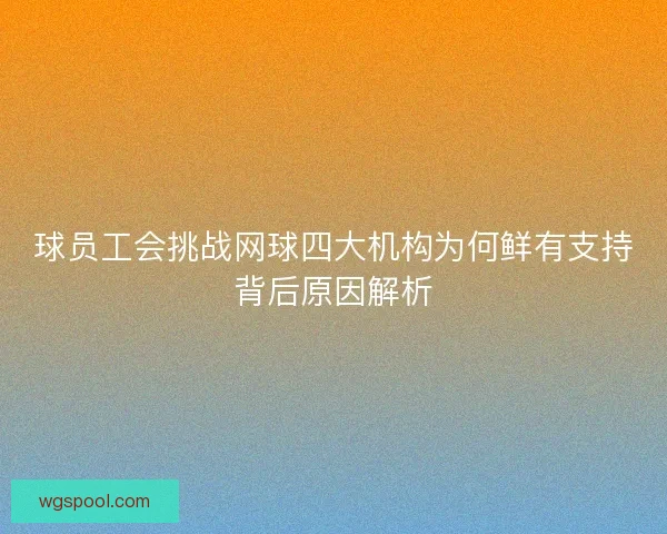 球员工会挑战网球四大机构为何鲜有支持背后原因解析 球员工会挑战网球四大机构为何鲜有支持背后原因解析